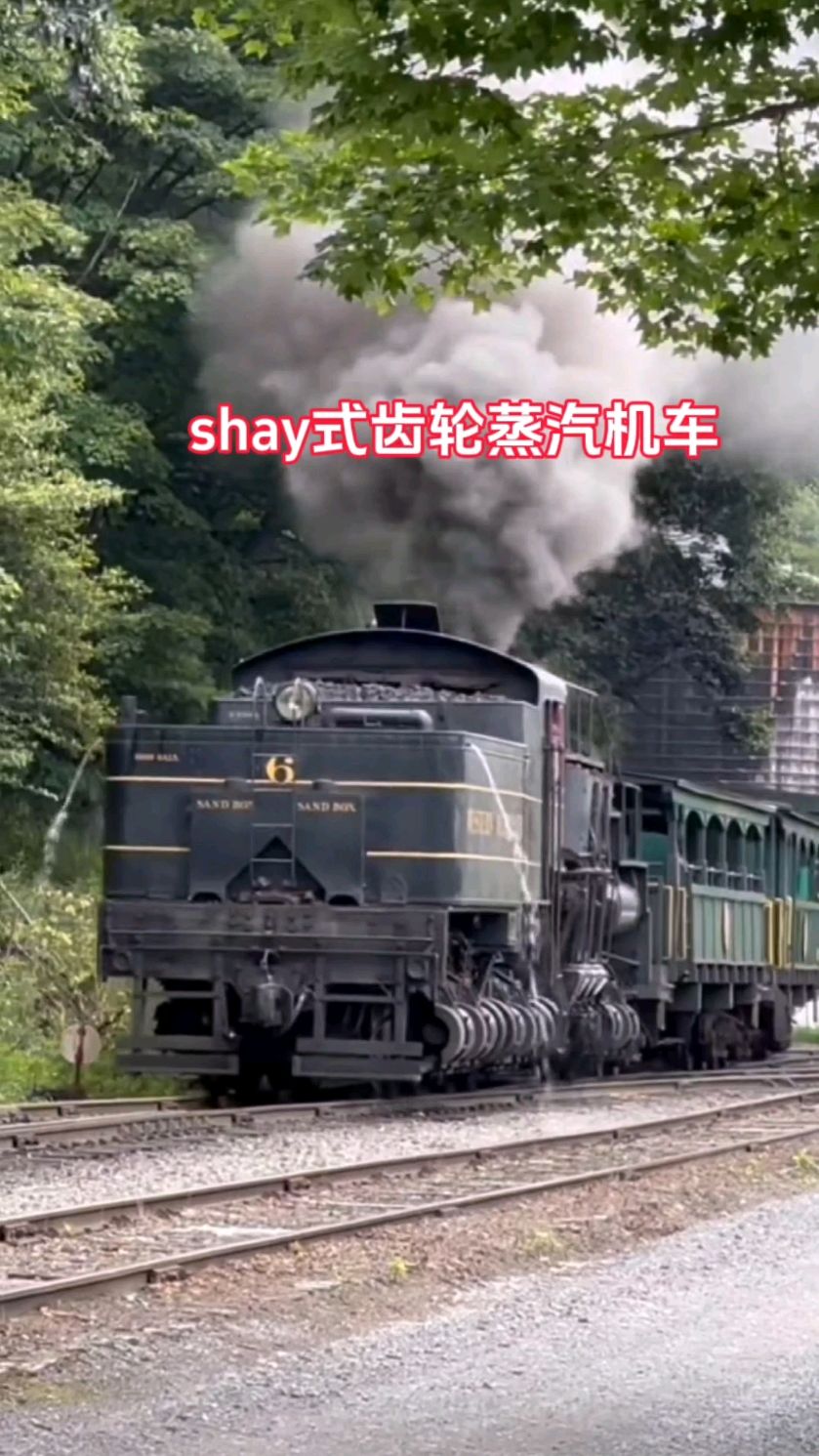 谢式蒸汽机车齿轮传动动力