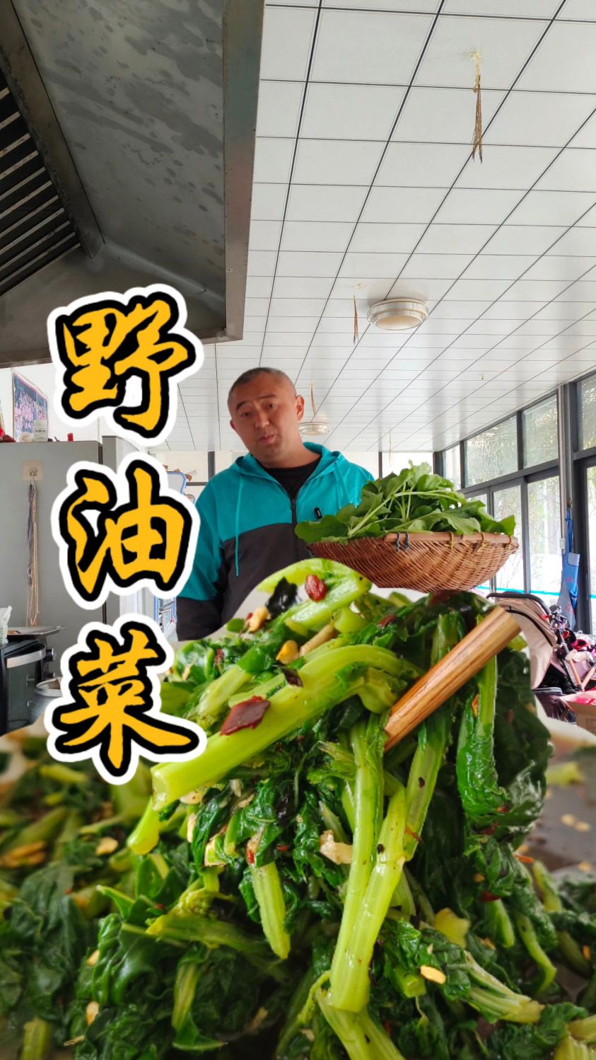 这种田间地头的野油菜大家吃过吗?