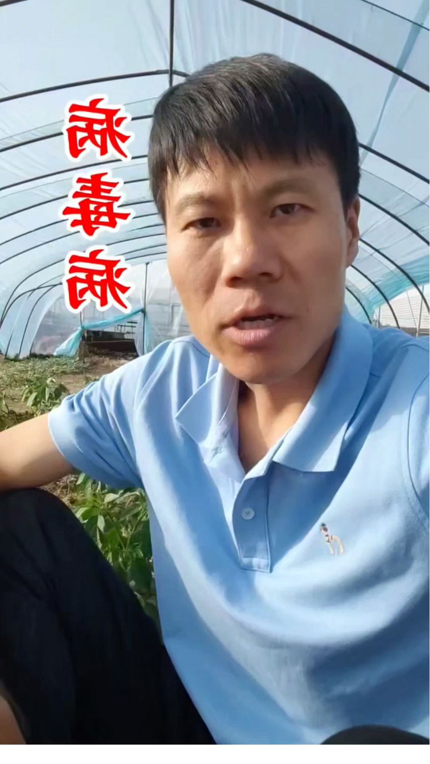 蔬菜病毒病怎么防治