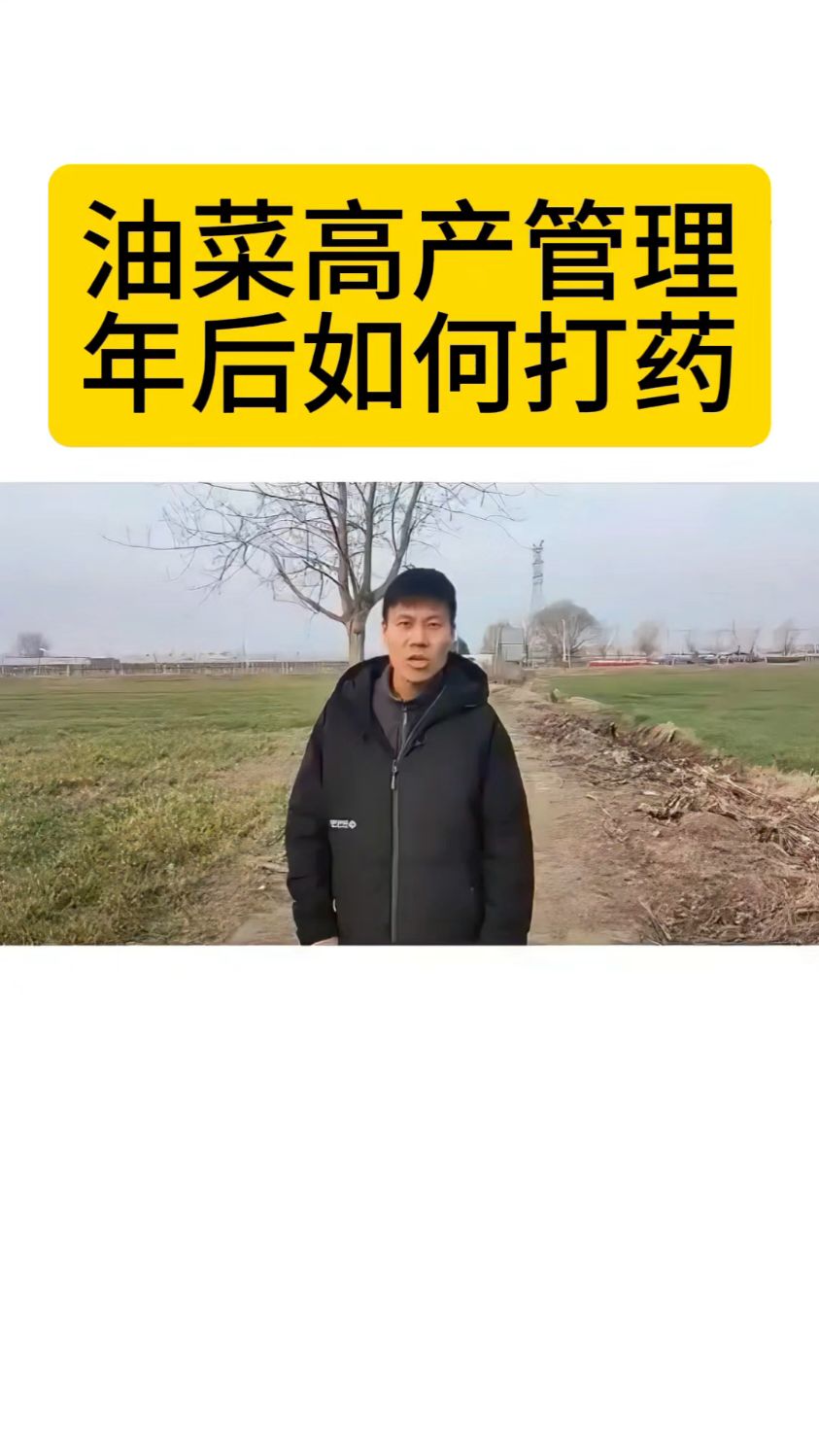 油菜病虫害打什么药,油菜菌核病如何防治