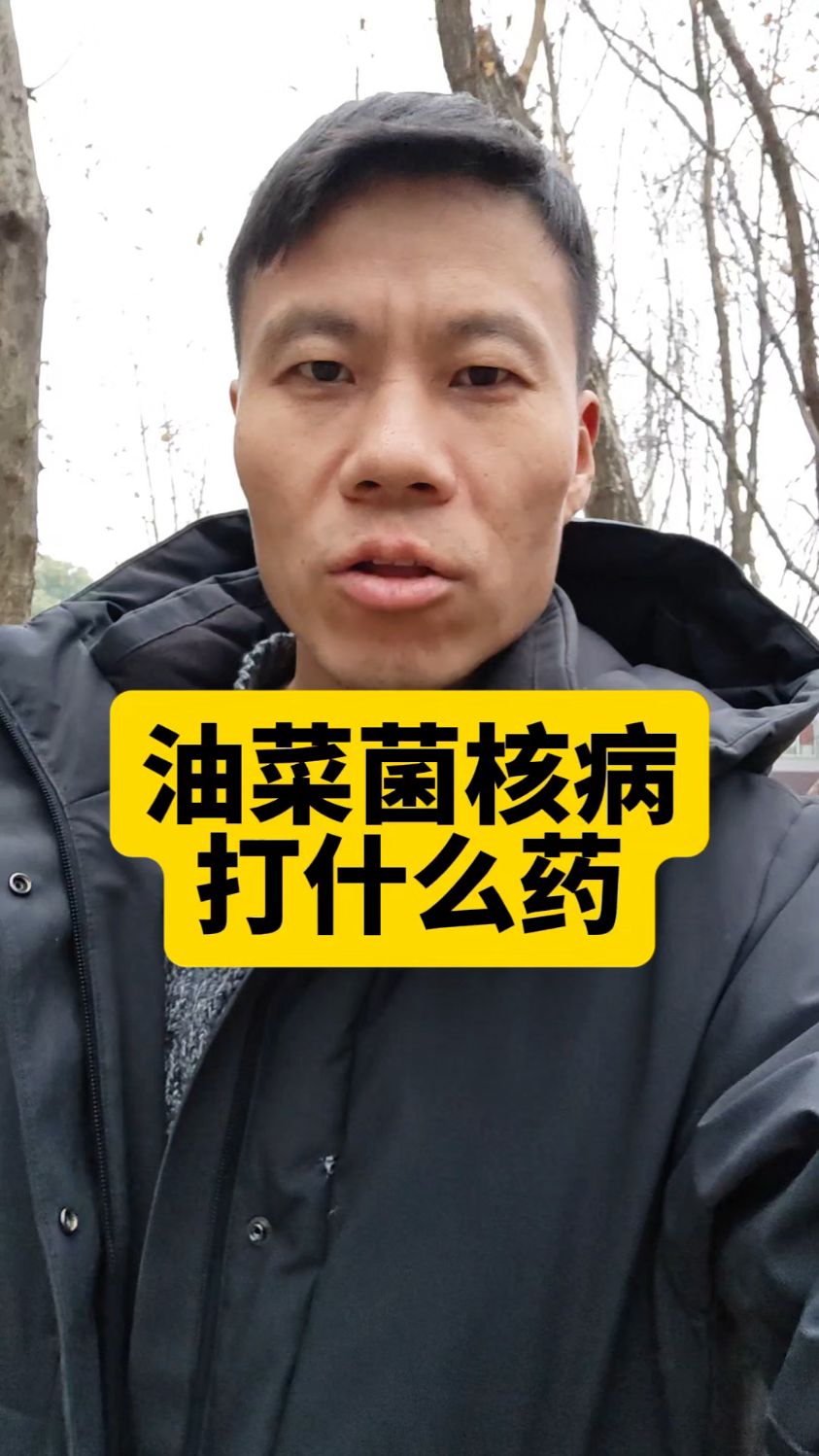 油菜菌核病打什么药