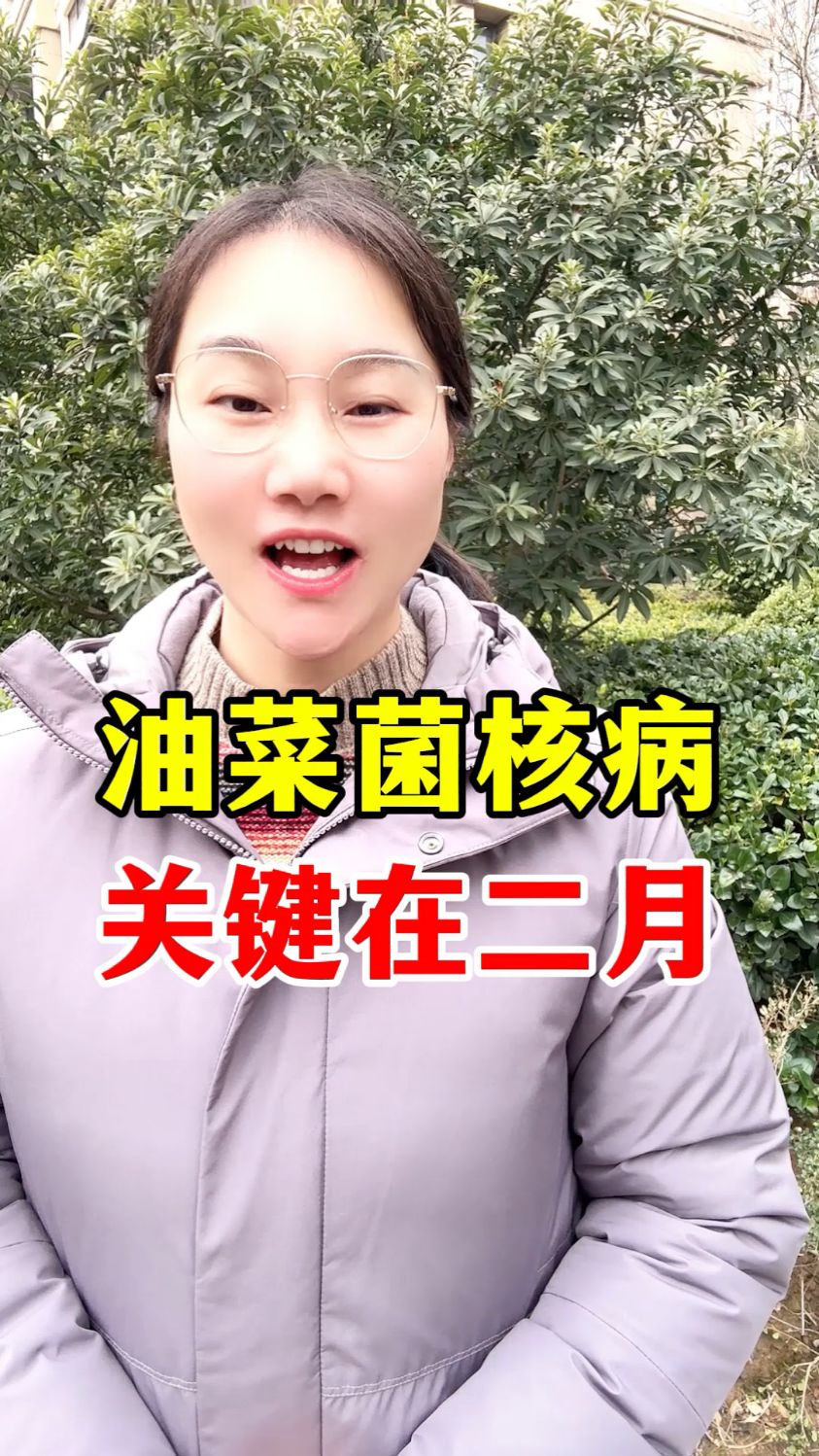 油菜菌核病如何防治,油菜菌核病打什么药好