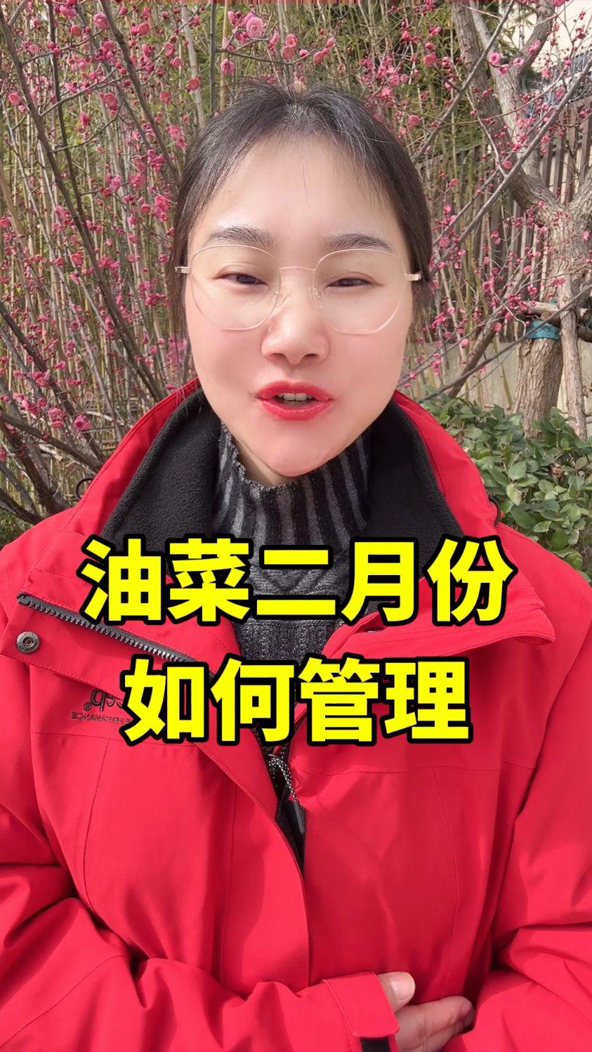 油菜菌核病如何防治,油菜病虫害打什么药