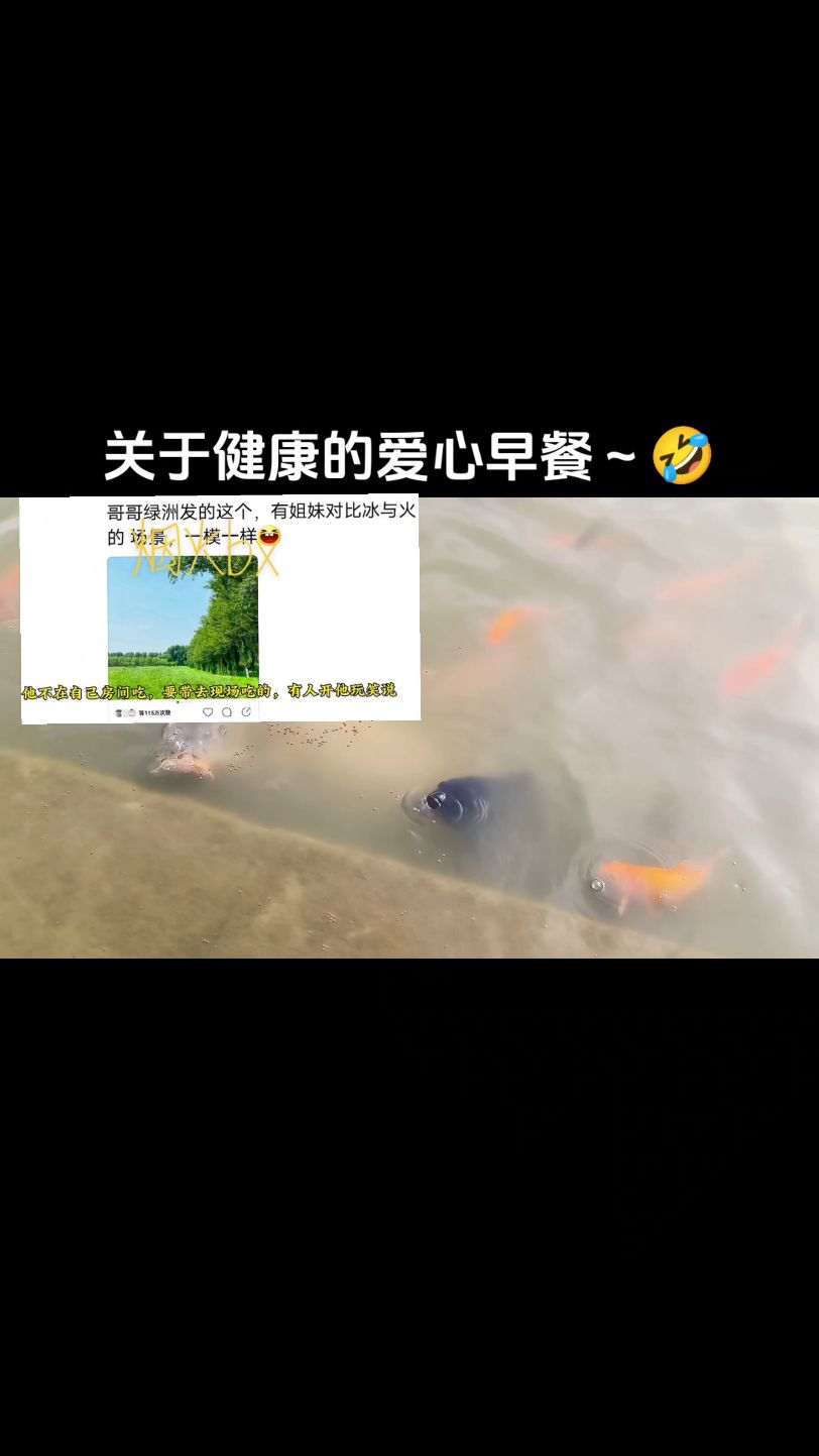 冰与火期间战战四五点就起来帮波波做早饭了～