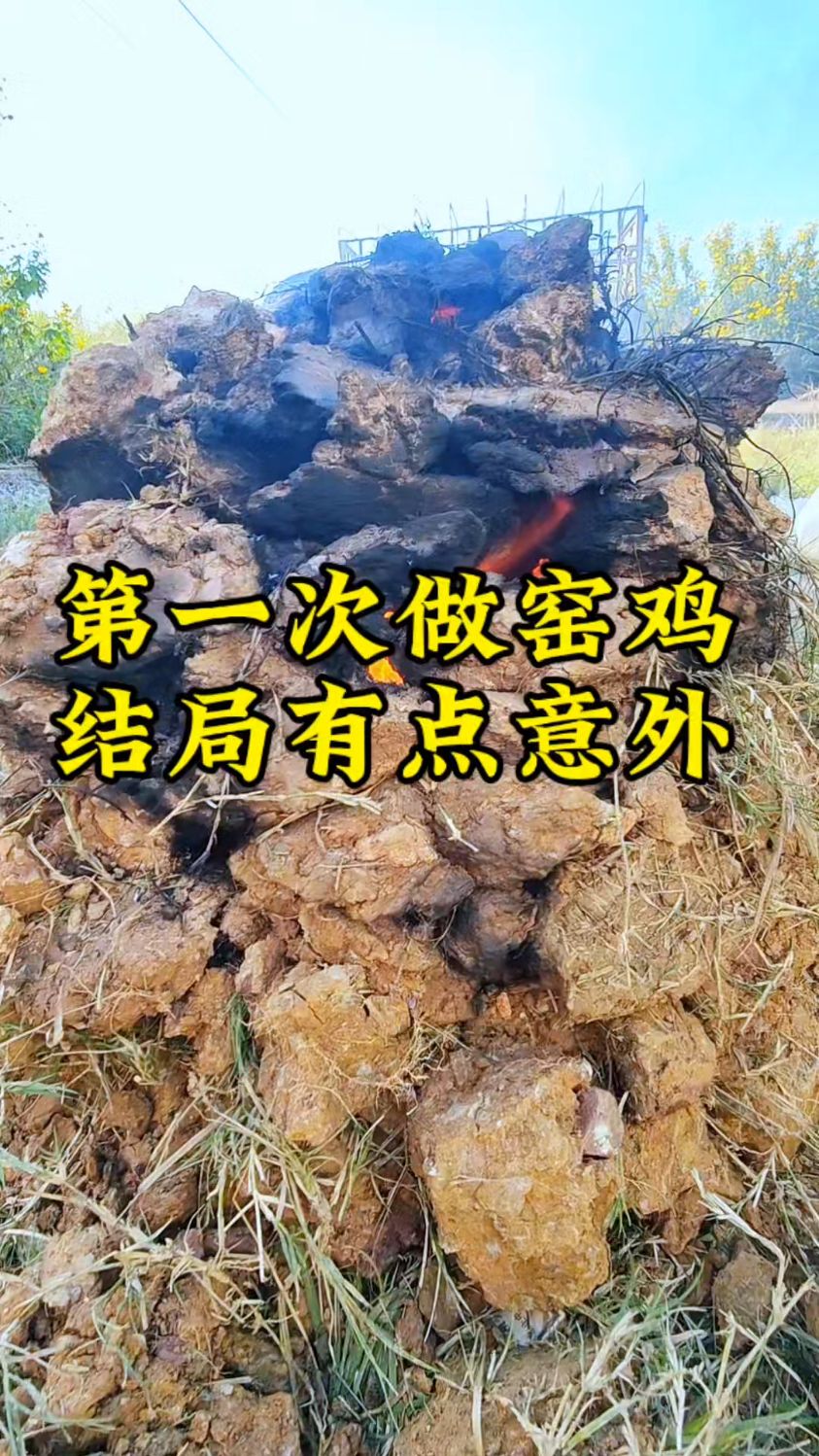 第一次做窑鸡结局有点意外