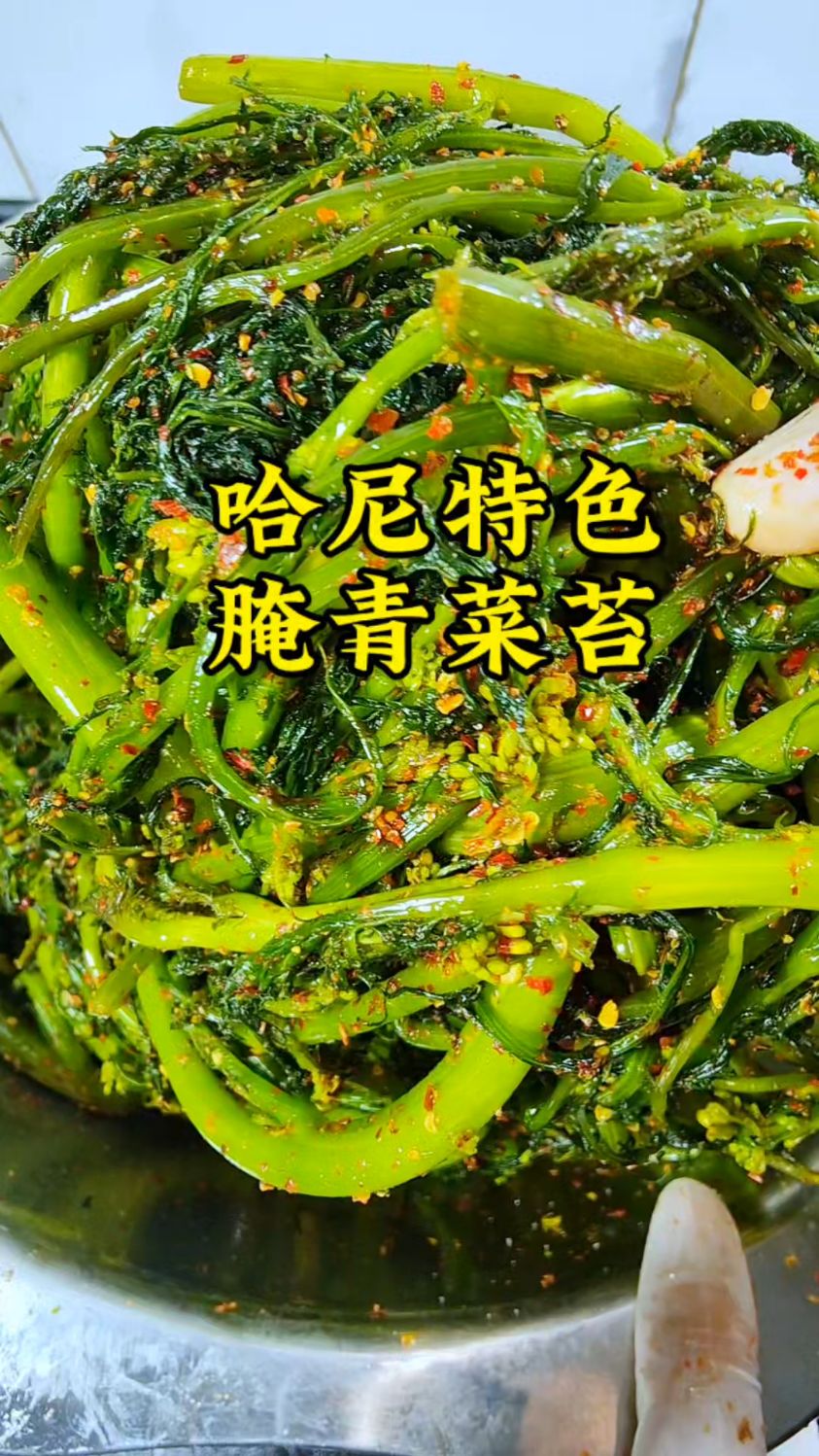 哈尼族的腌青菜苔是酸菜中的天花板了,做法简单却嘎嘎好吃