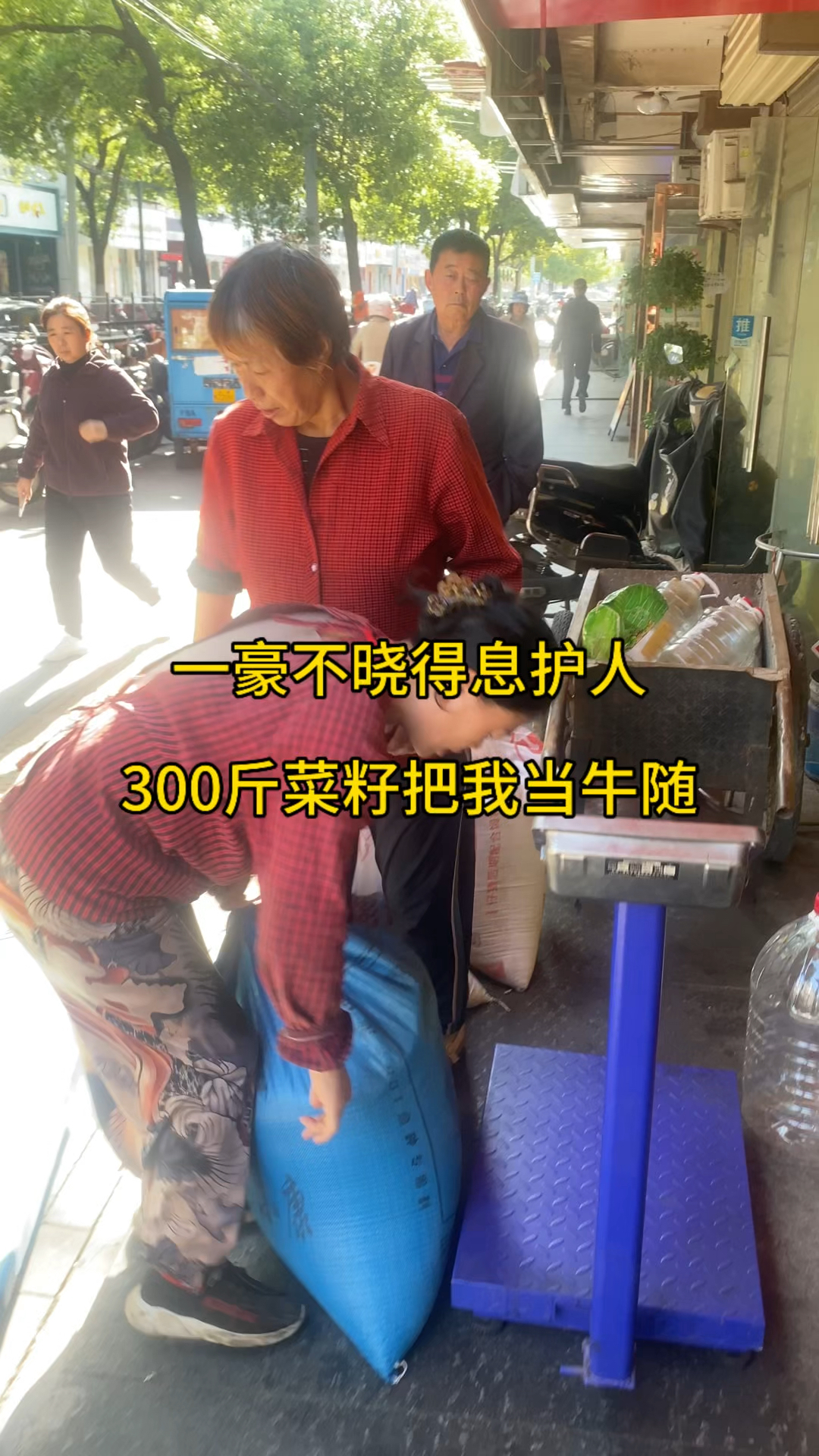 农家纯菜籽油10元一斤送油上门