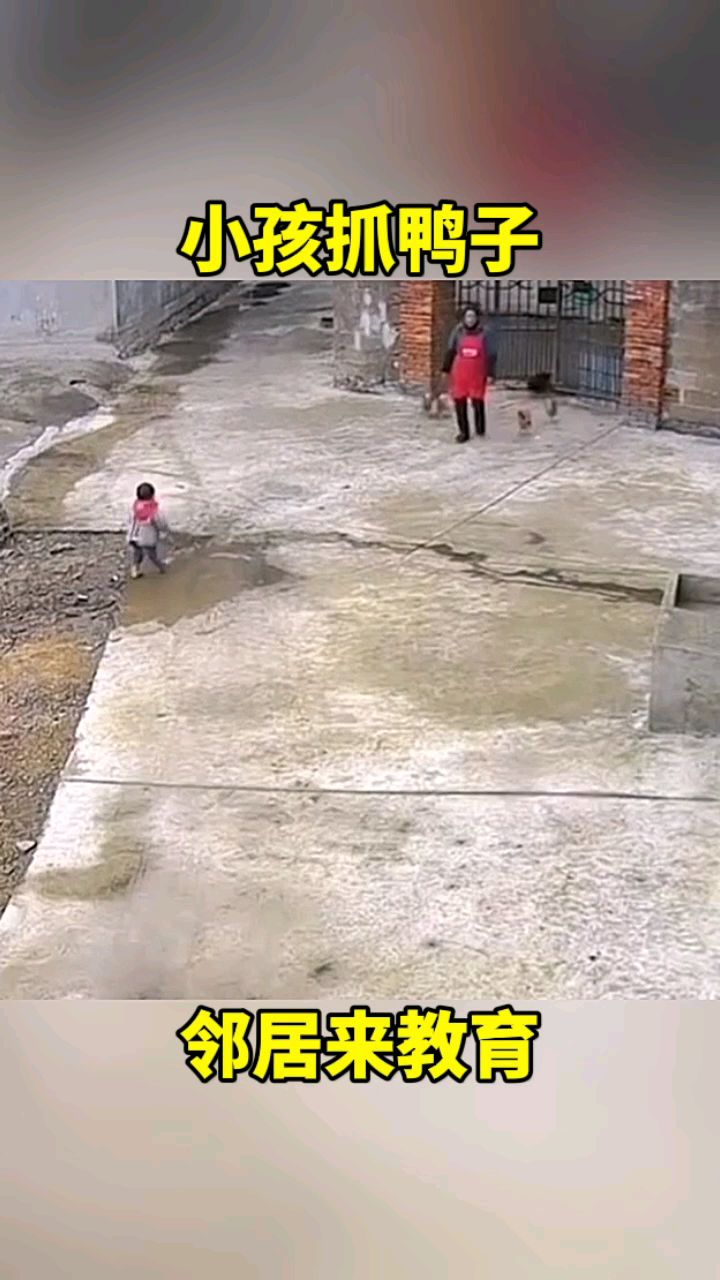 小孩抓鸭子,不料邻居出来了!