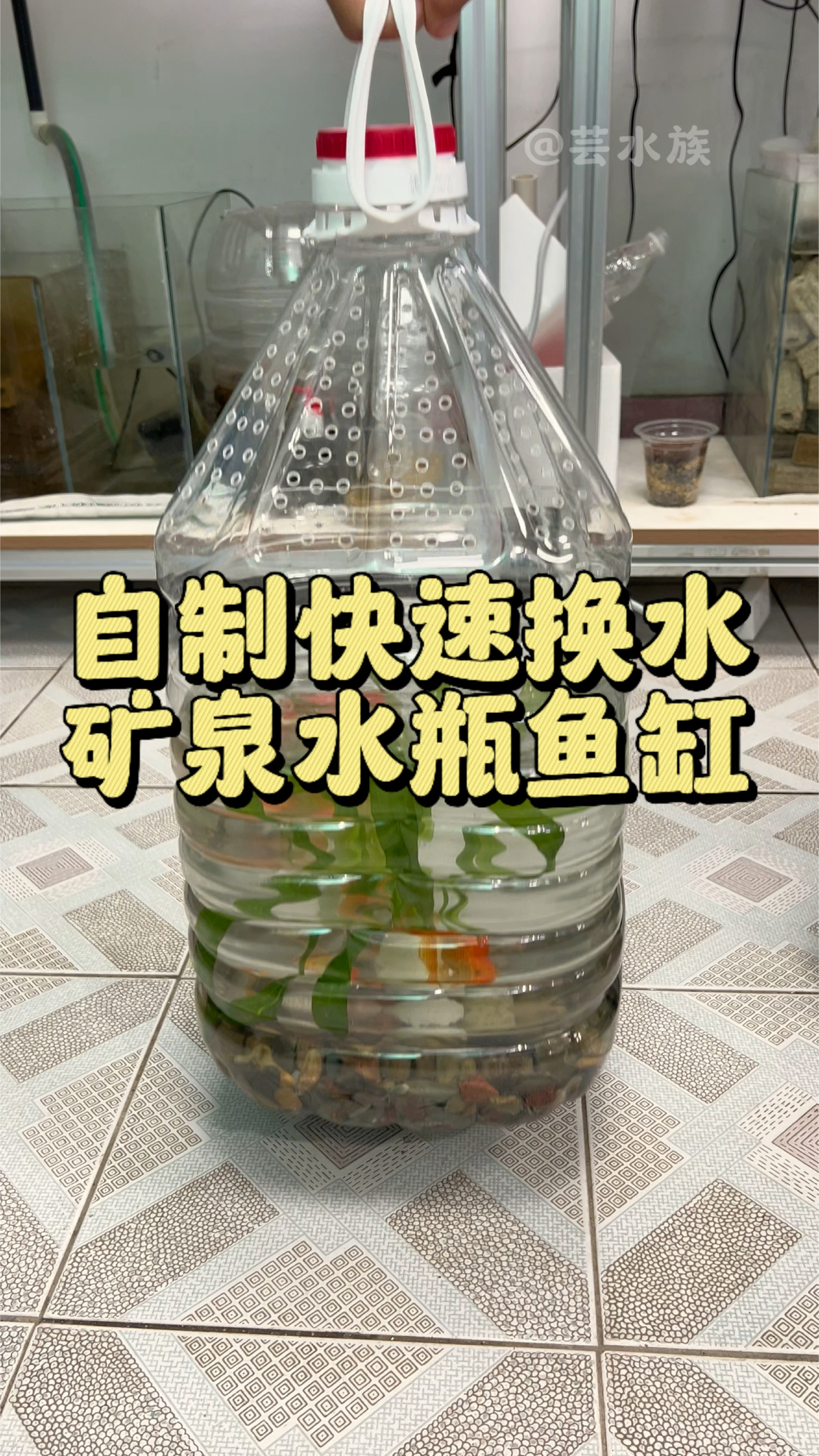 分享一个自制快速换水简易矿泉水瓶鱼缸。#水族#养鱼养心