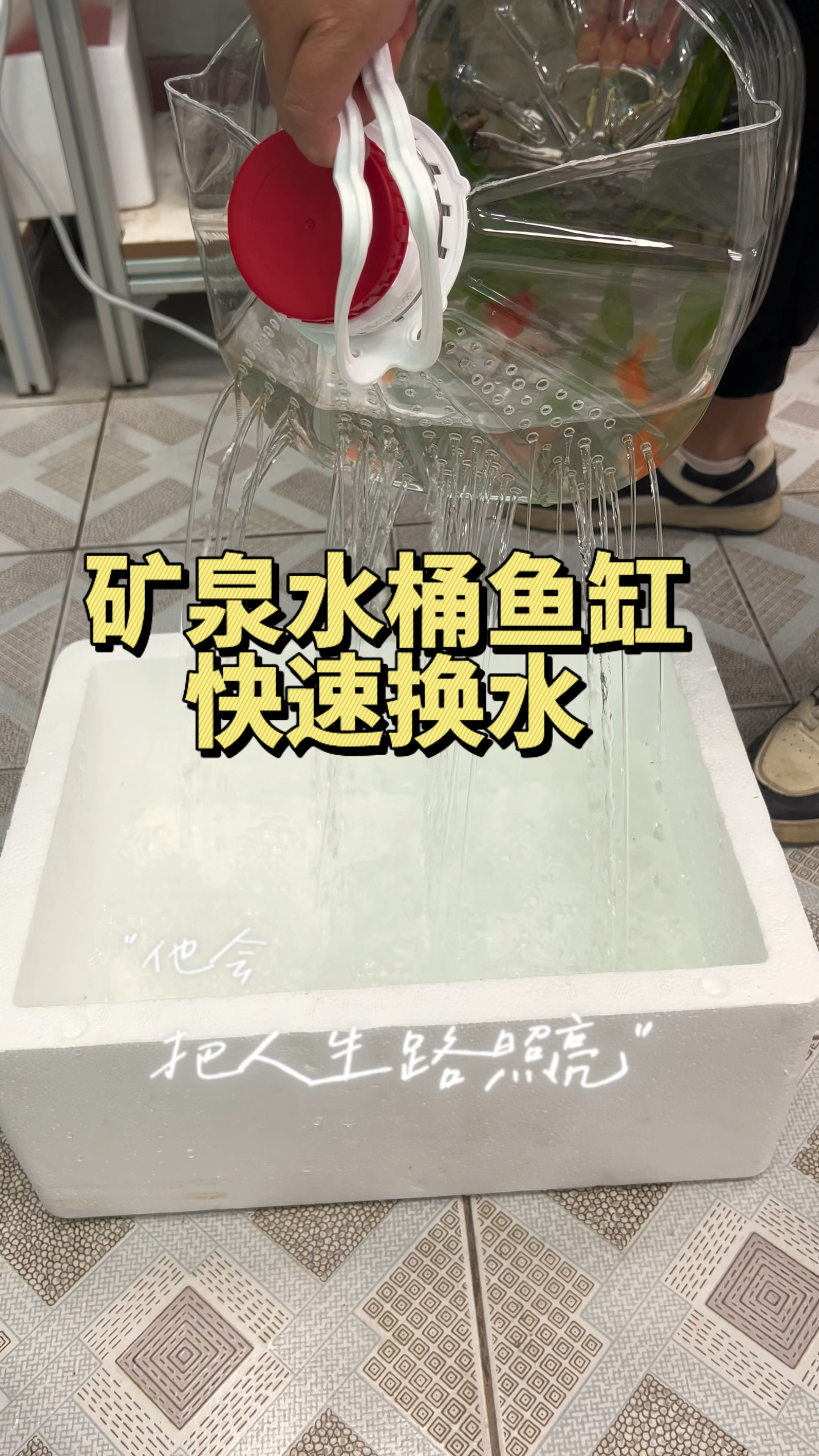 0成本自制矿泉水桶鱼缸,快速换水嘎嘎香。#水族#养鱼养心