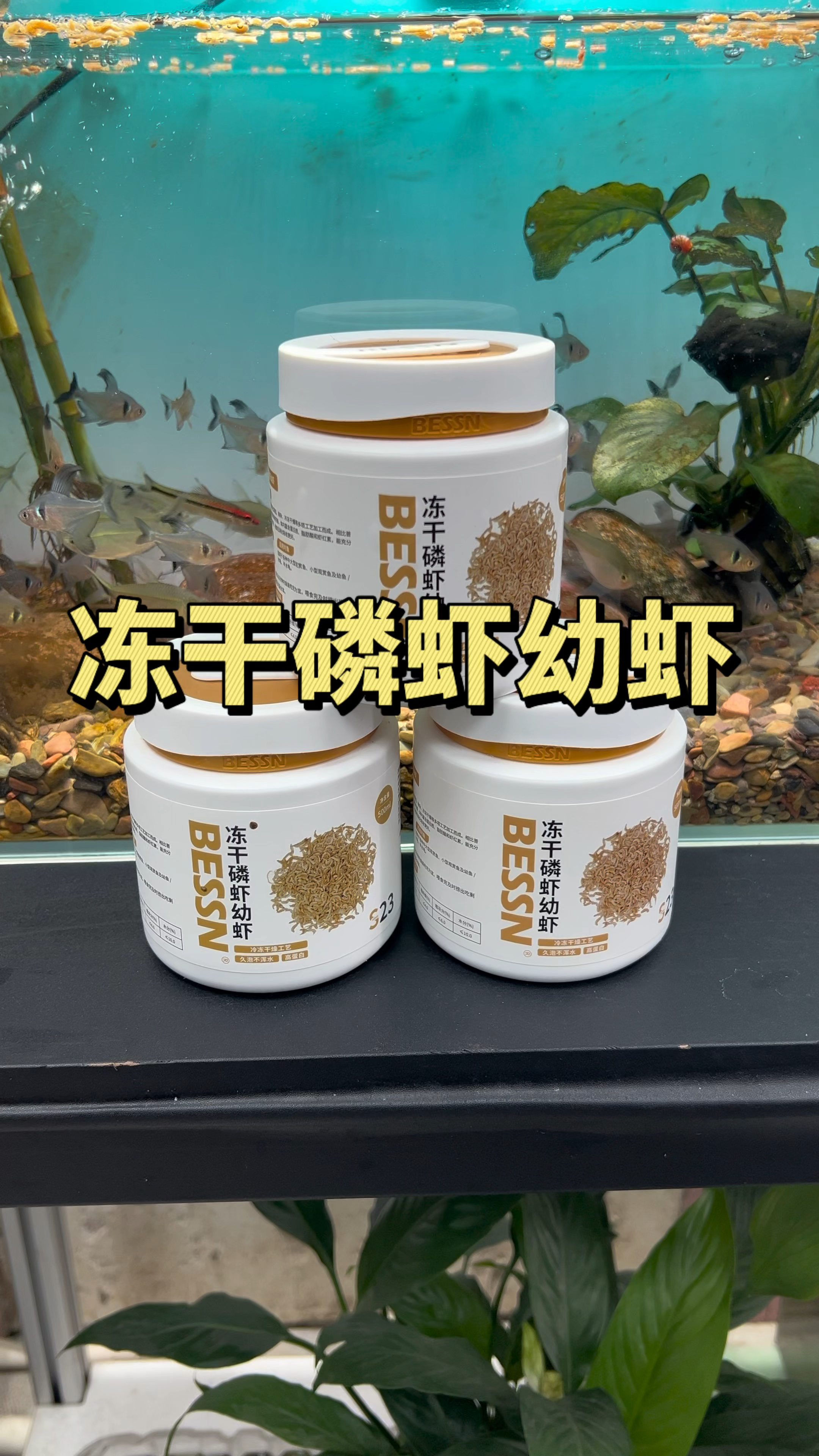 冬天搭配鳞虾一起喂鱼更加营养健康,蛋白含量高达70%。#磷虾幼虾