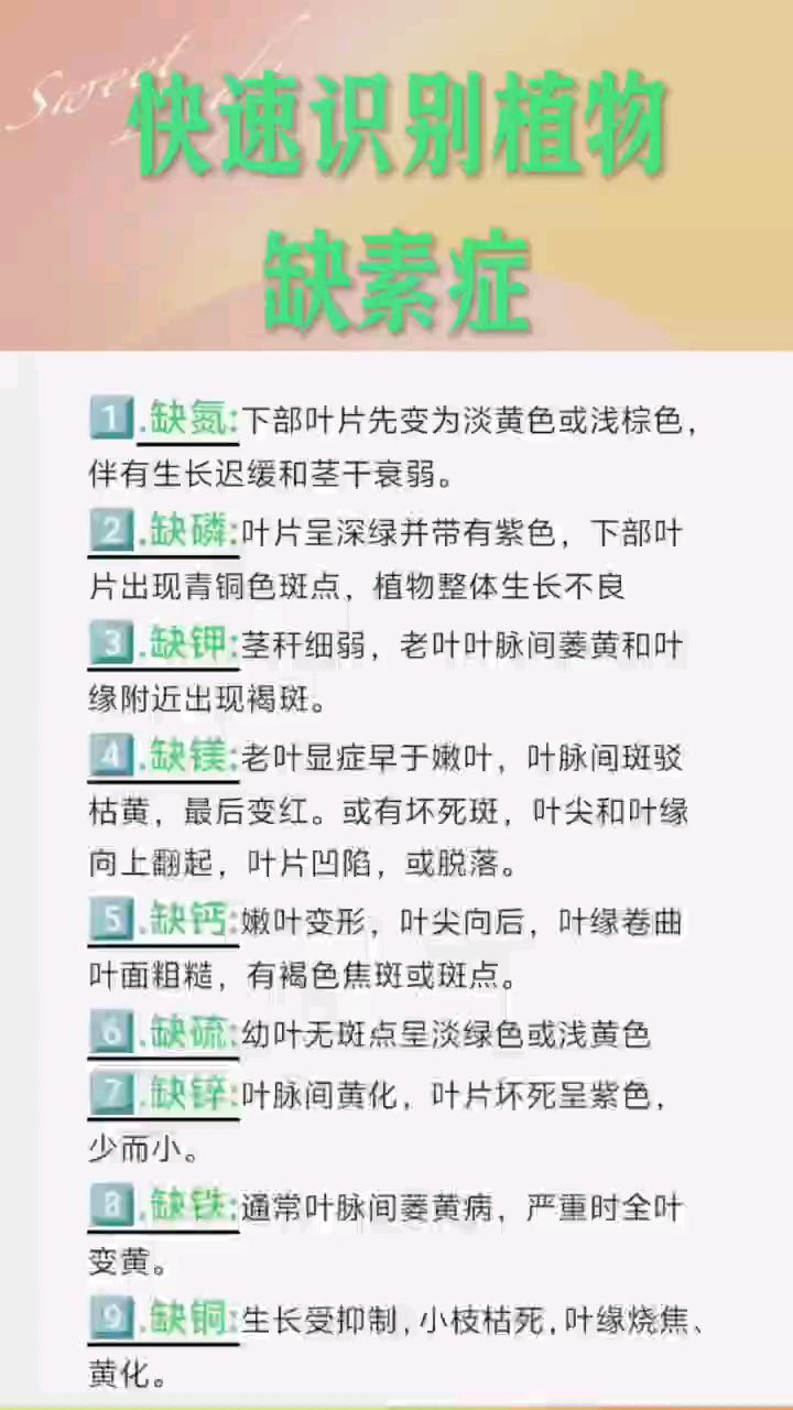 如何快速识别植物缺素症