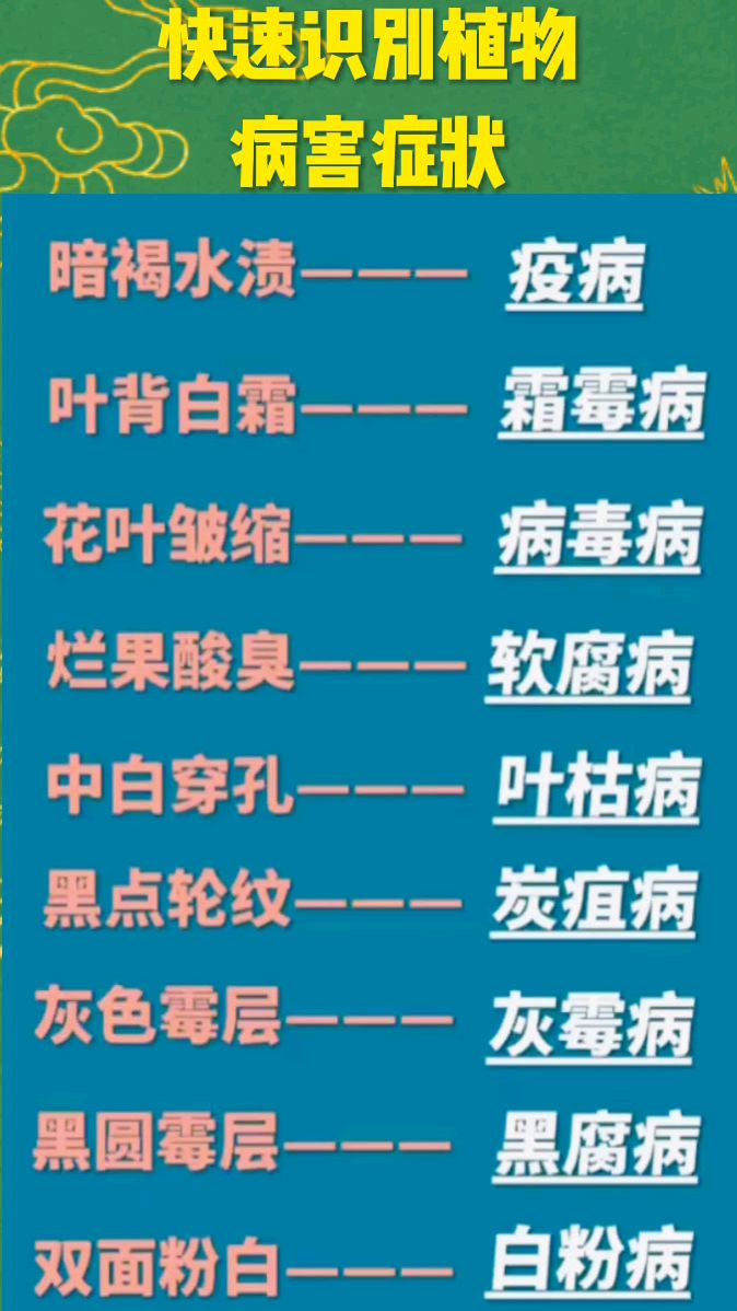 如何快速识别植物病害症状