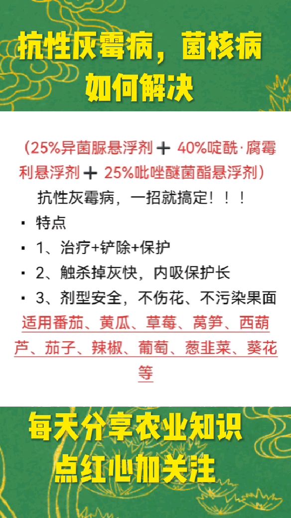 抗性灰霉病菌核病如何解决