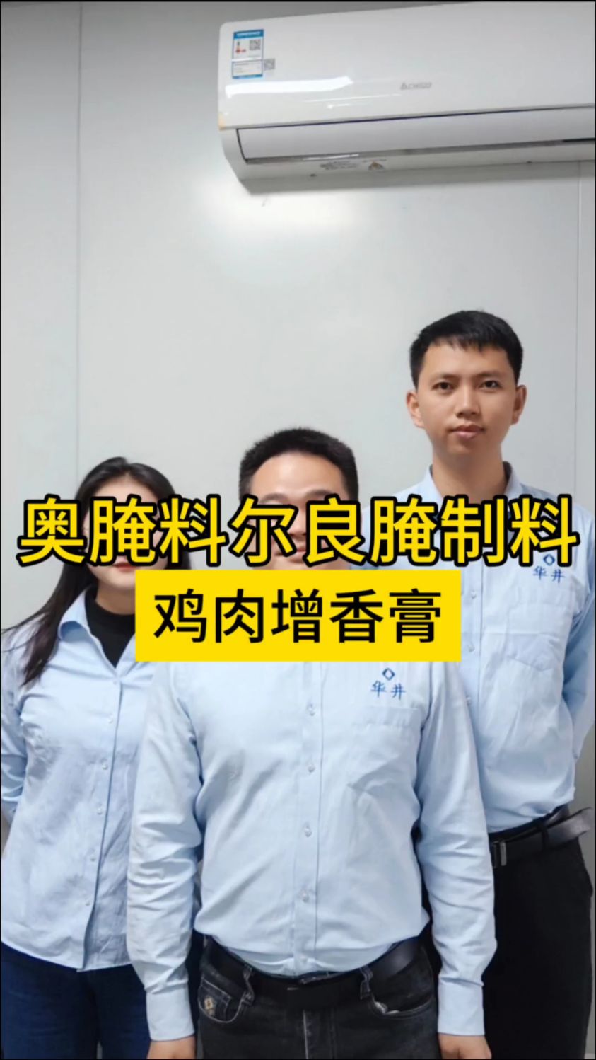 奥尔良腌料,增香鸡肉膏,工厂直出,可定制贴牌,华井生物,井味