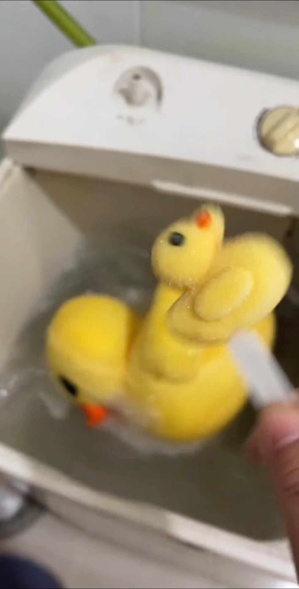 小鸭子棒棒糖掉洗衣机里啦 #小朋友的世界 #小朋友的最爱 #玩具