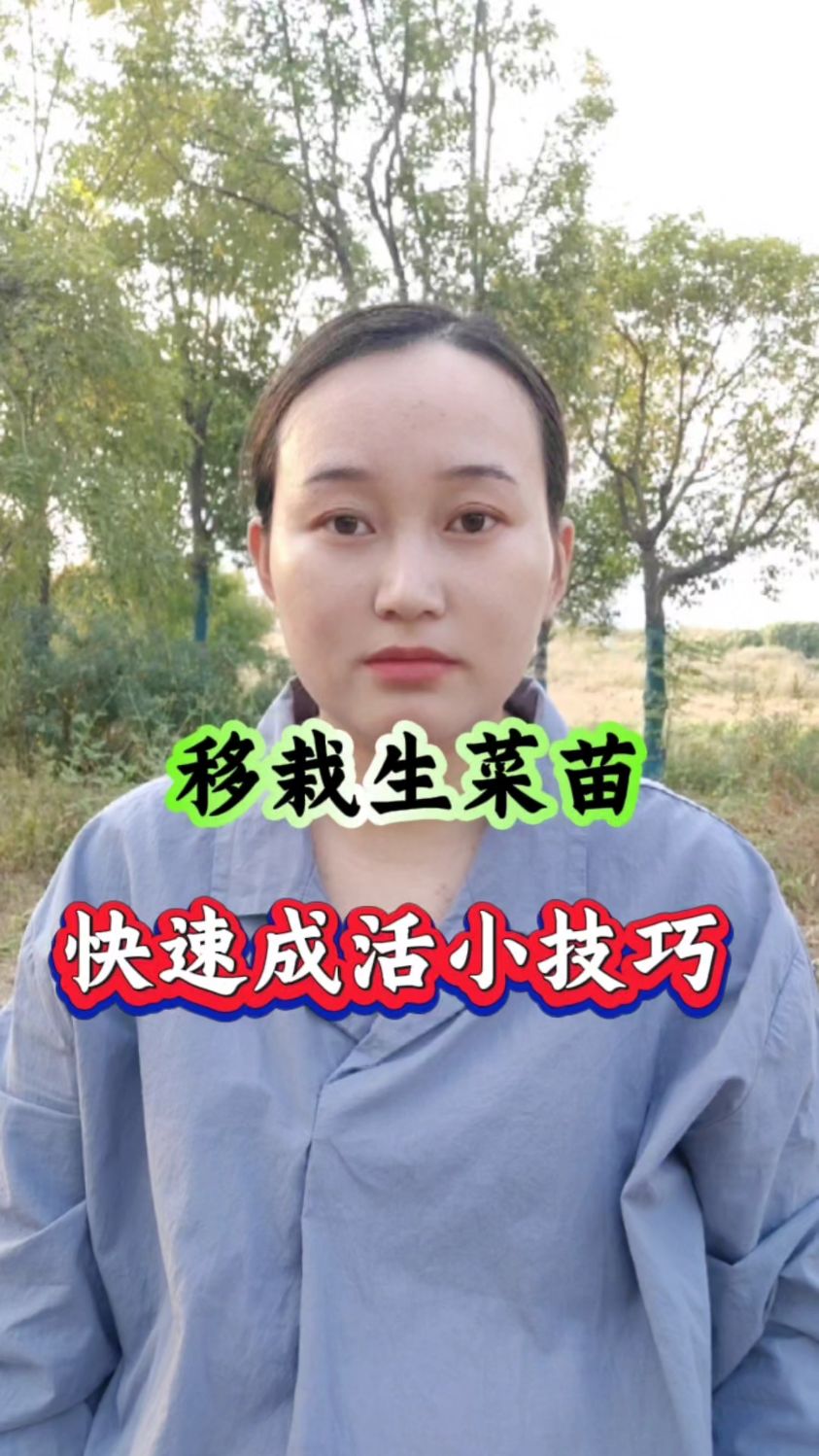 移栽生菜苗快速成活小技巧