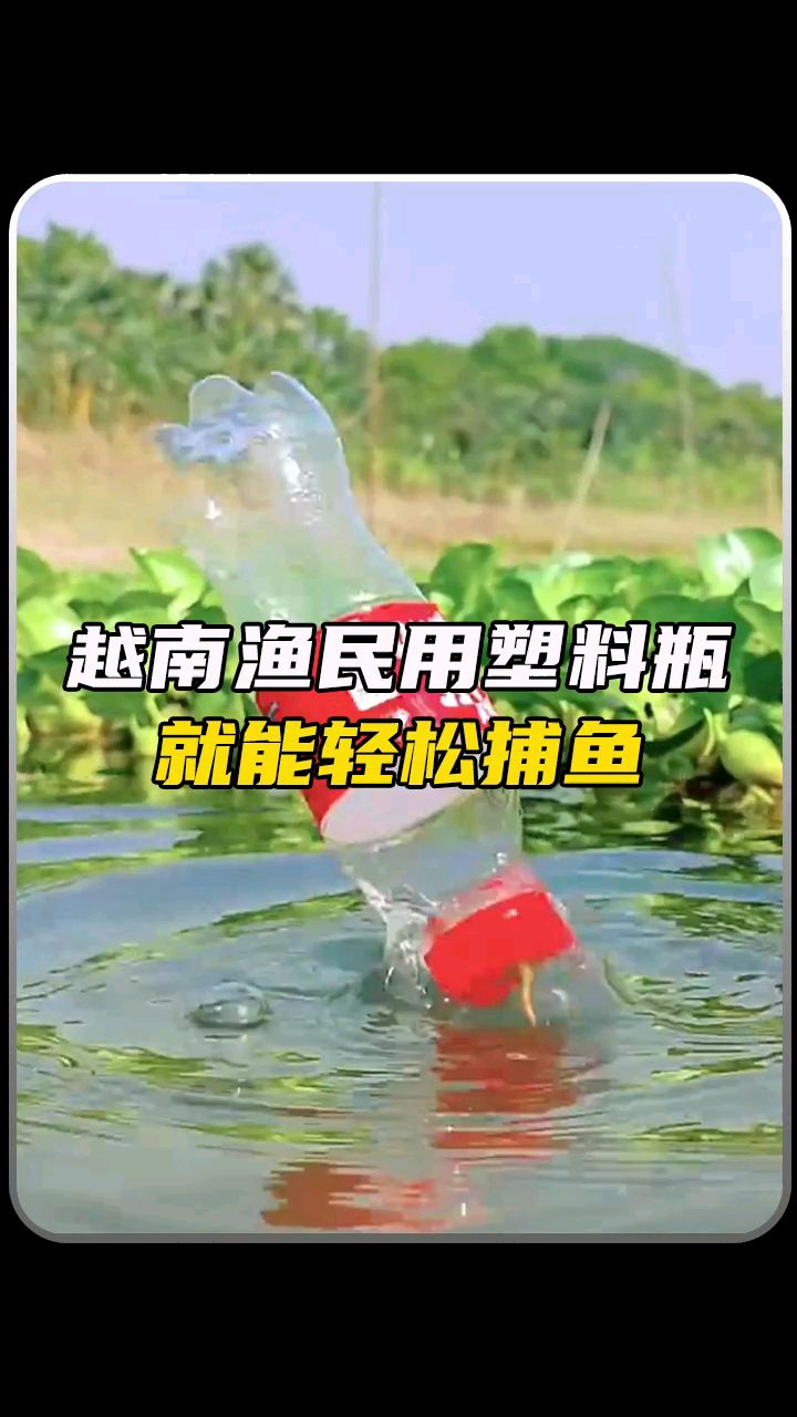 越南渔民用塑料瓶就能轻松捕鱼#科普
