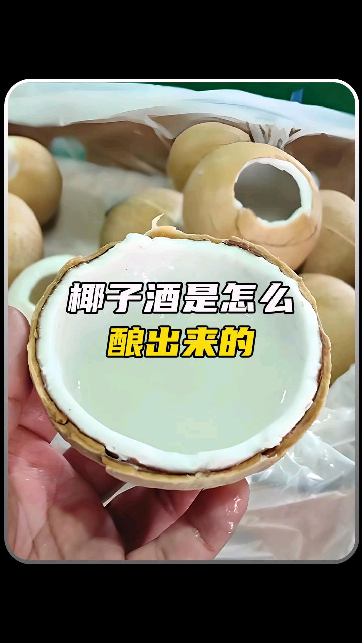 椰子酒是怎么酿出来的?