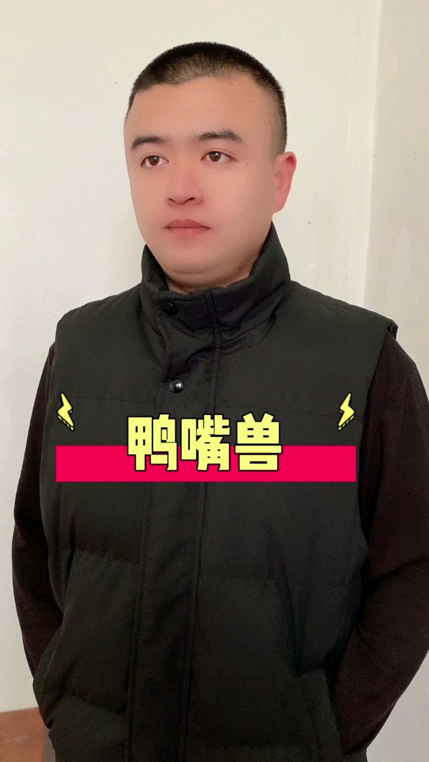 达尔文见了鸭嘴兽也得懵!#涨知识 #冷知识 #鸭嘴兽
