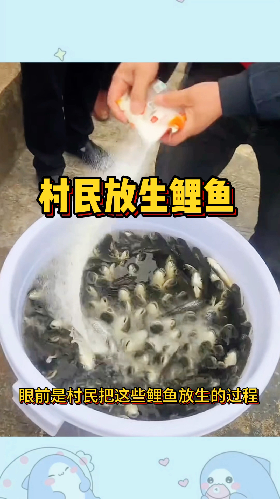 村民放生鲤鱼,居然还撒上调料难不成是为了保鲜吗?