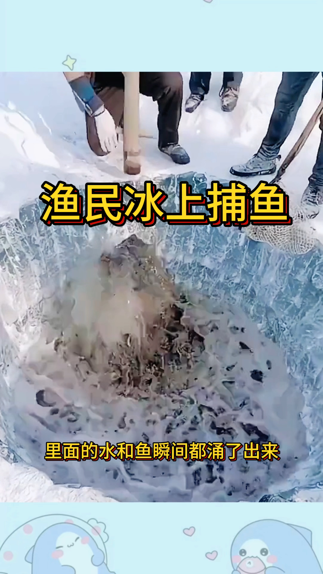 渔民冰上捕鱼,收获满满