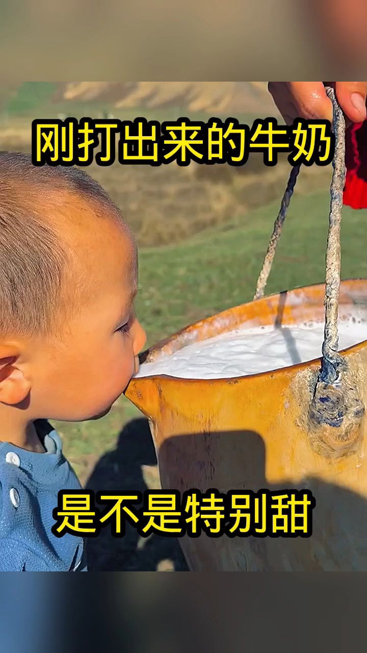 刚打出来的牛奶,是不是特别甜!