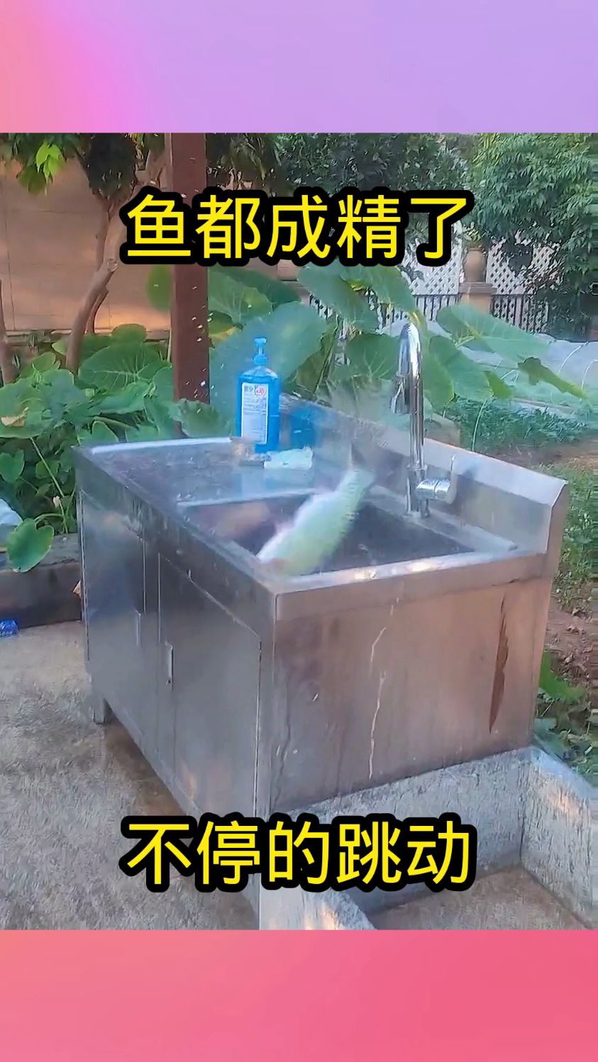 鱼都成精了,不停的跳动!