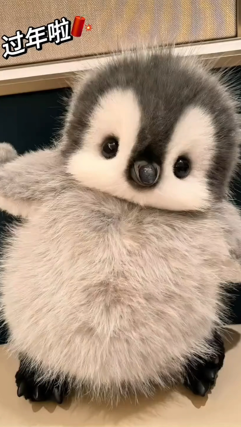 过年啦过年啦,谁还没收到小企鹅的祝福