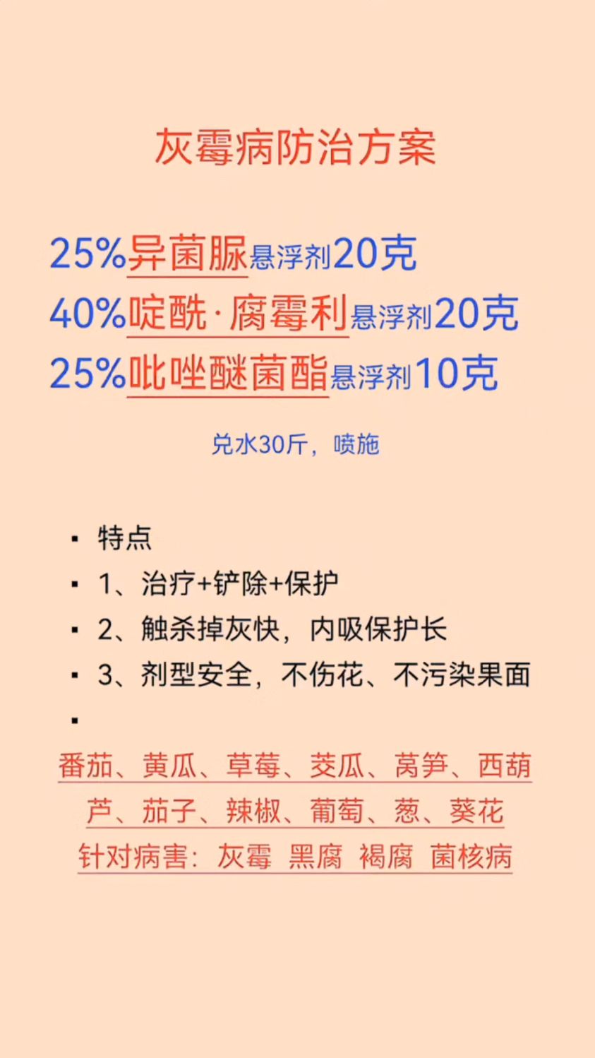 农作物常见病害灰霉病防治方法,传播农业小知识