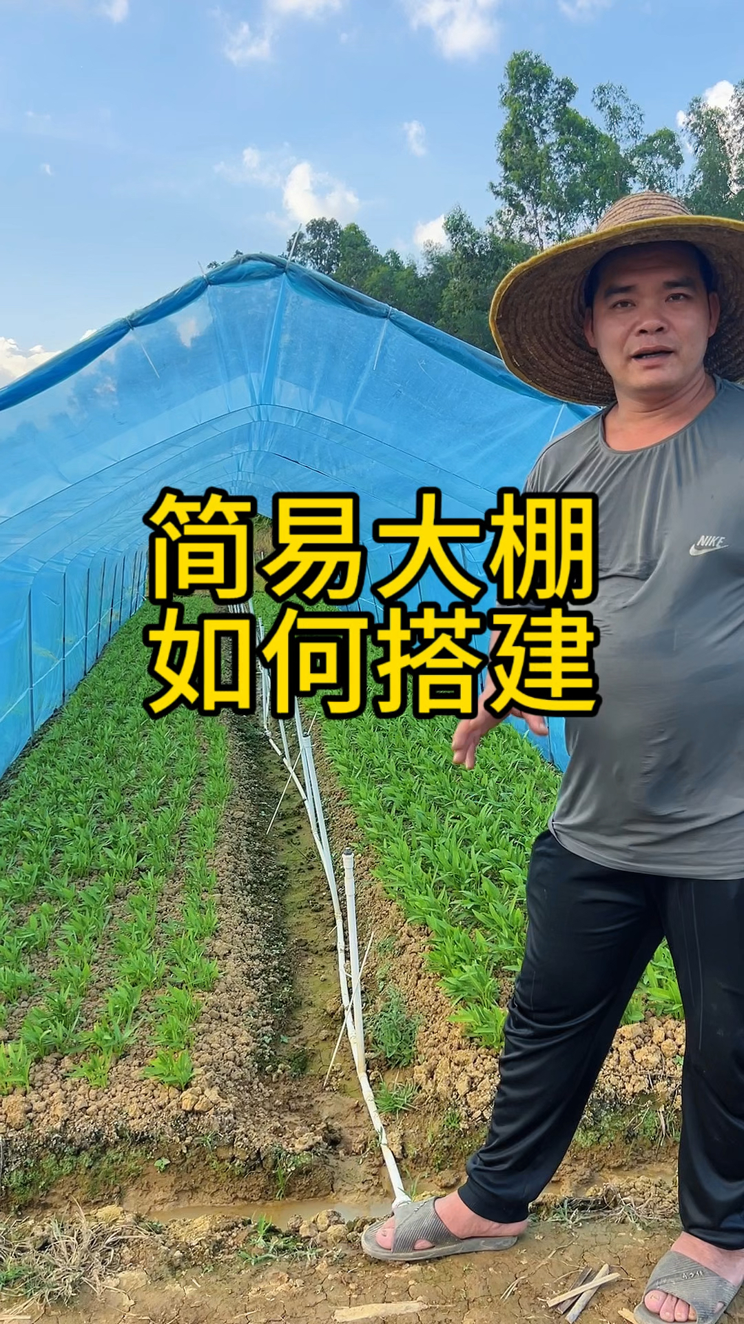 种菜的简易大棚如何搭建