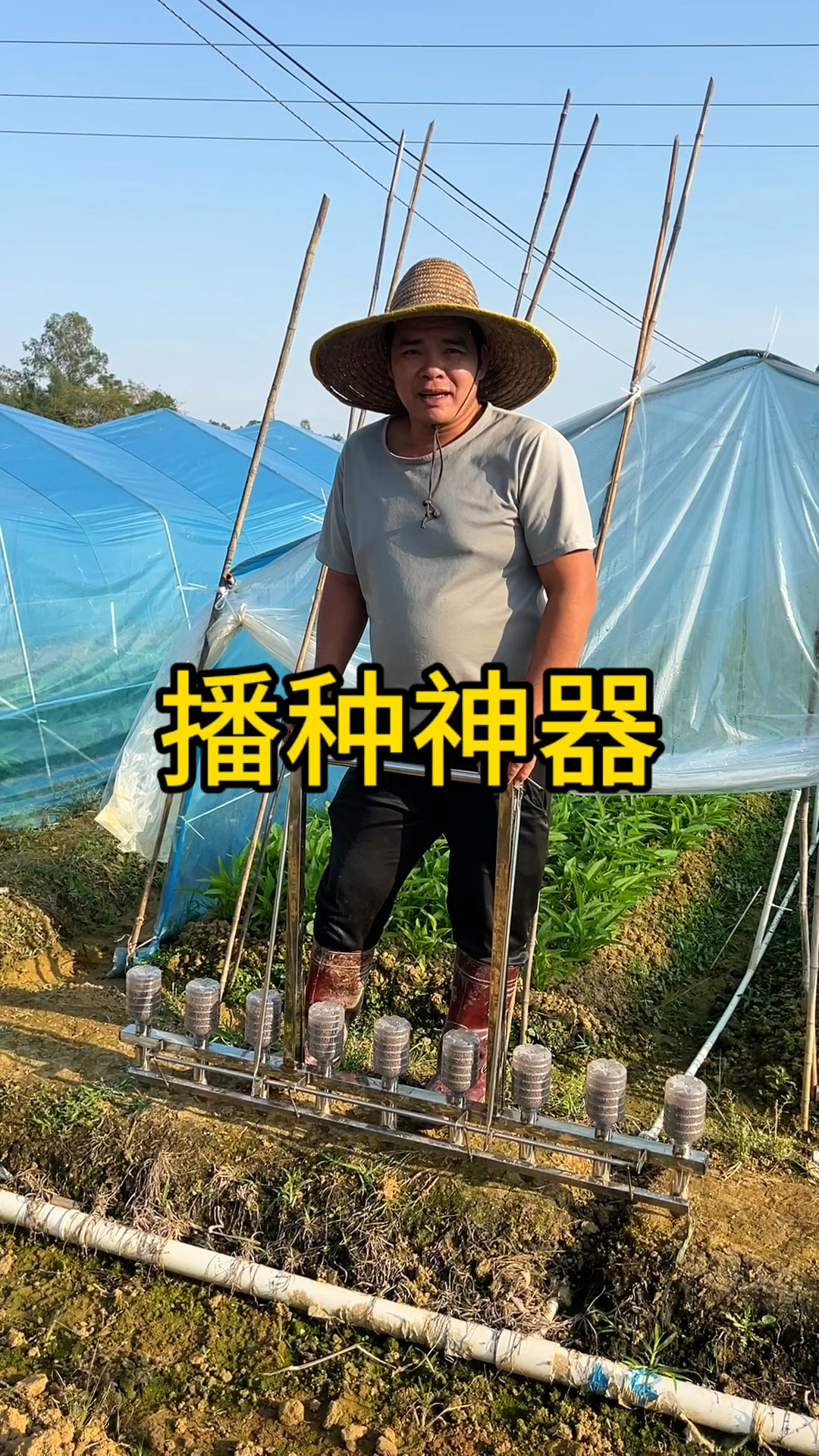 播种神器,菠菜空心菜,香菜等都可以用