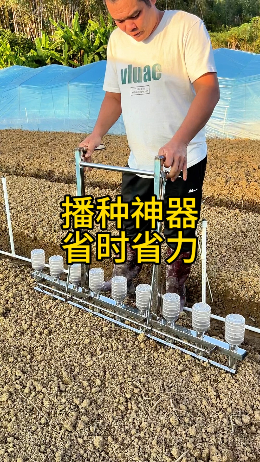 空心菜菠菜香菜木耳菜播种机