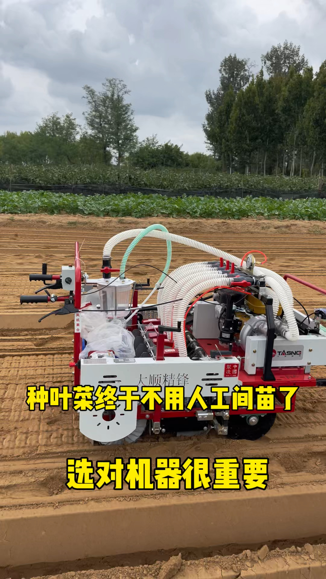 小型气吸蔬菜精密播种机,省时省力再也不用人工间苗了