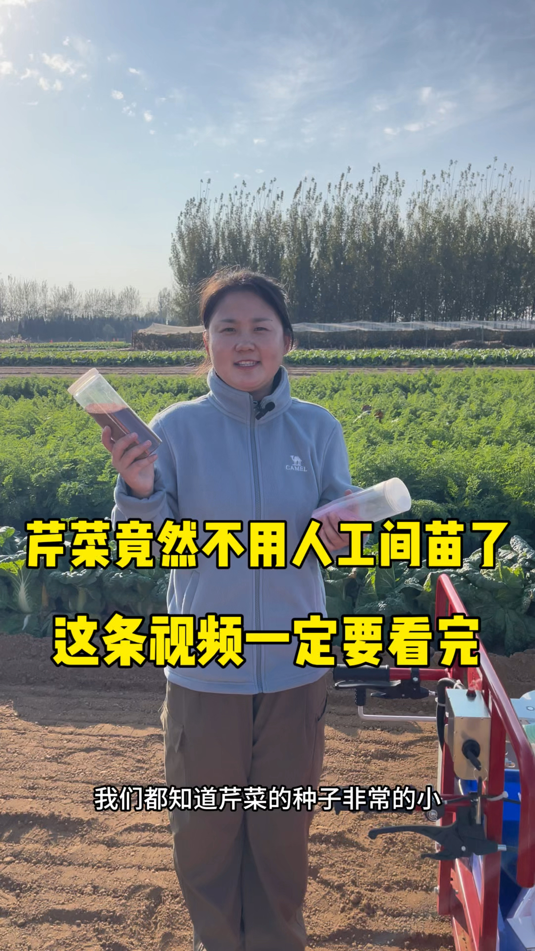 芹菜竟然不用人工间苗了,这个视频一定要看完#芹菜播种机#三农