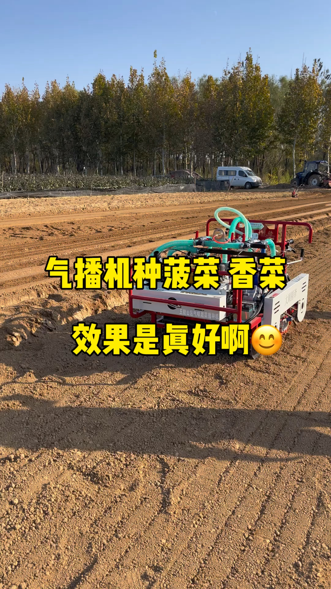 气播机种菠菜、香菜,效果是真好啊#气吸菠菜香菜播种机