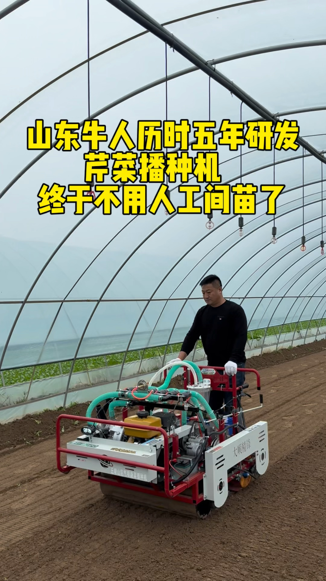芹菜终于不用人工间苗了,这个视频一定别错过#气吸蔬菜播种机