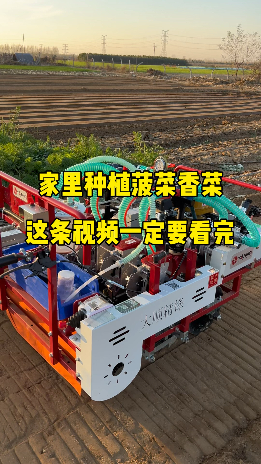 大顺自走式气吸菠菜香菜播种机,一穴一粒再也不用间苗了