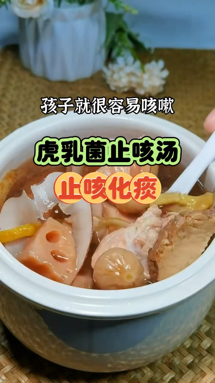 虎乳菌止咳汤 一到换季孩子很容易咳嗽 试试这个汤吧