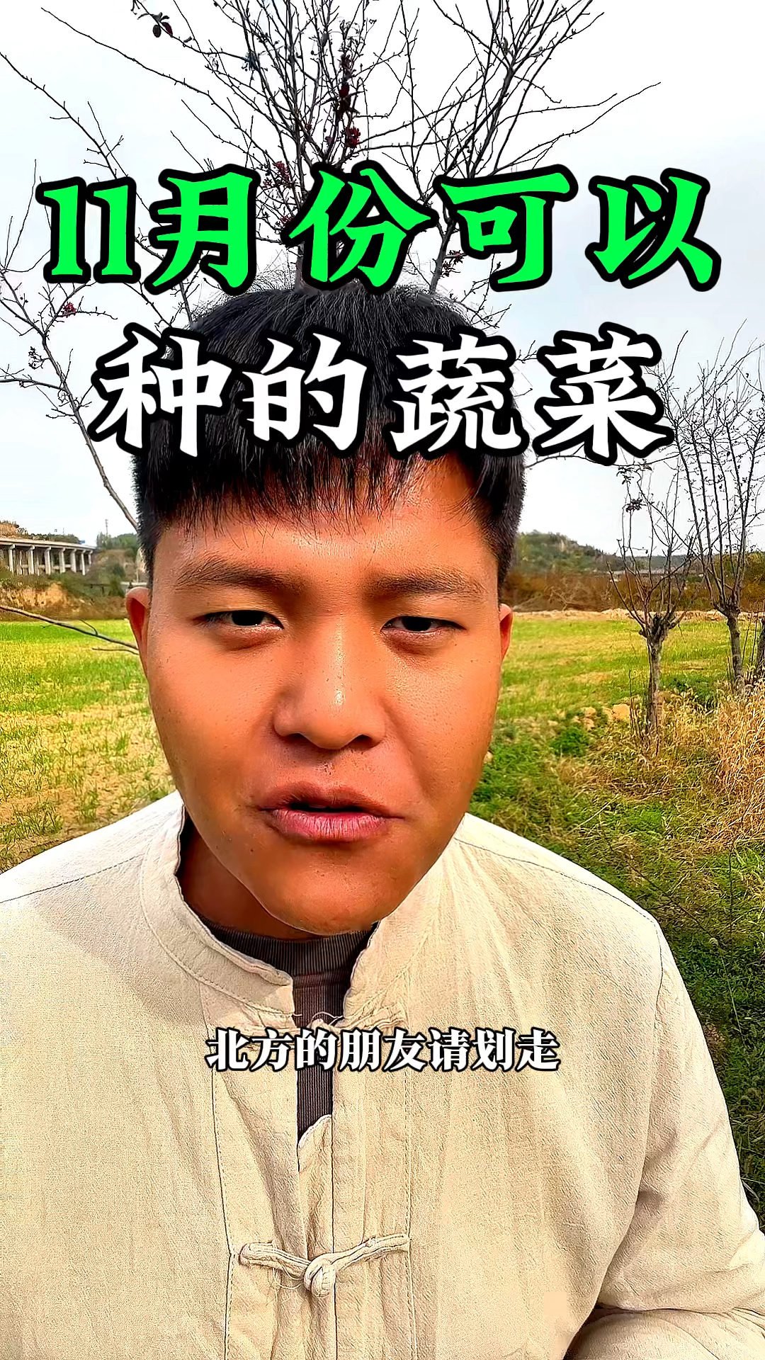 给南方的朋友分享一下,十一月份可以种植的蔬菜