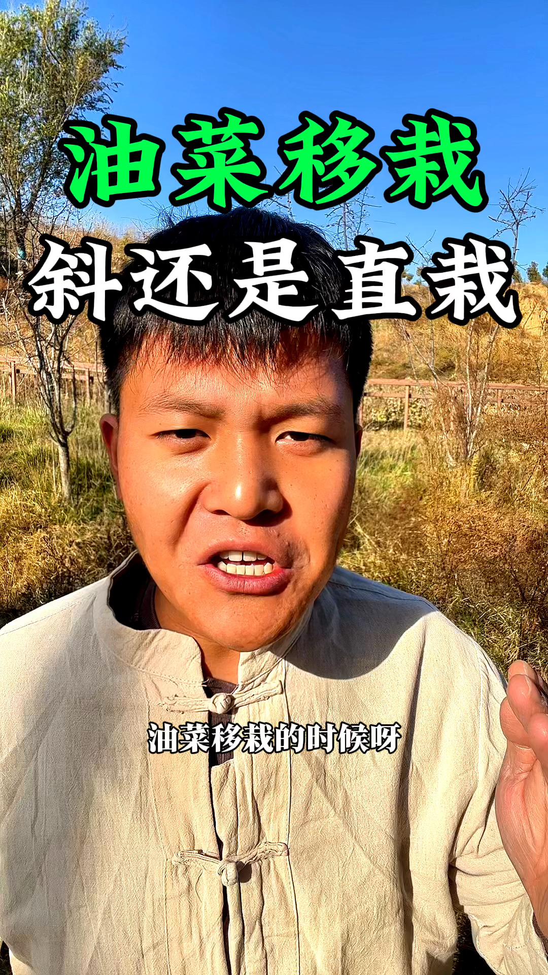 油菜移栽是斜着栽还是直着栽种好呢?