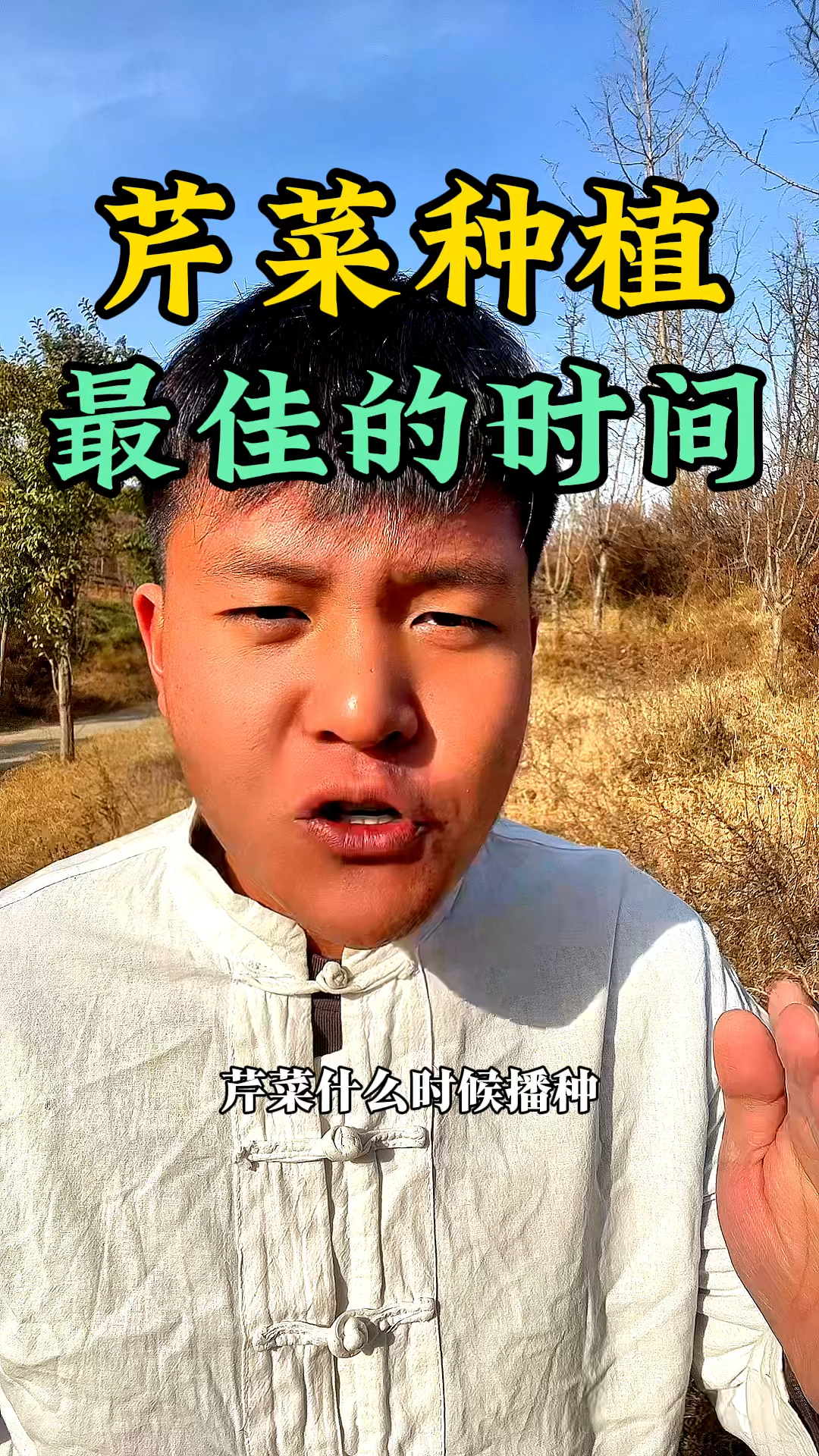 芹菜什么时候播种,最佳的种植时间是什么时候