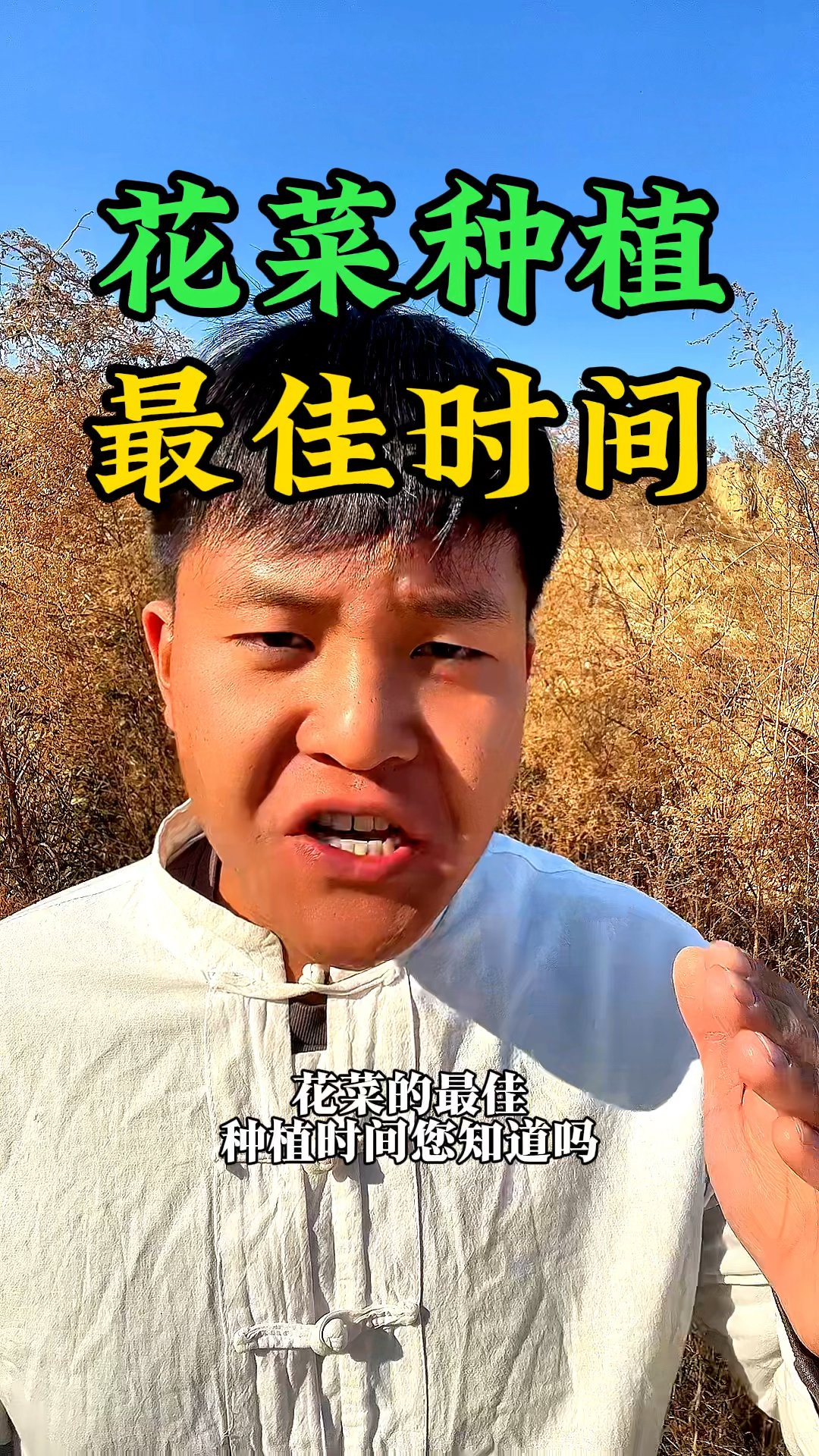 花菜的最佳种植时间在什么时候呢?