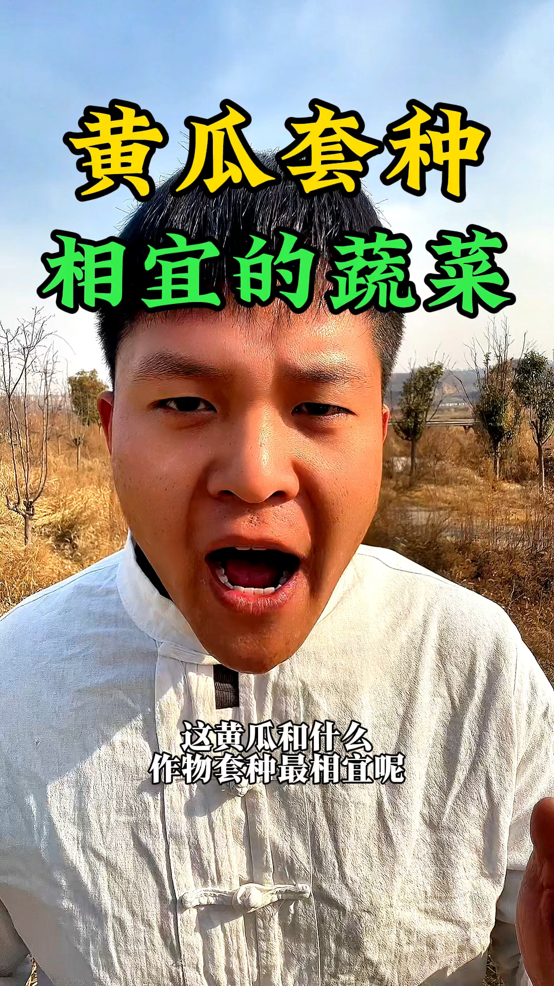 黄瓜和什么作物套种才比较相宜呢