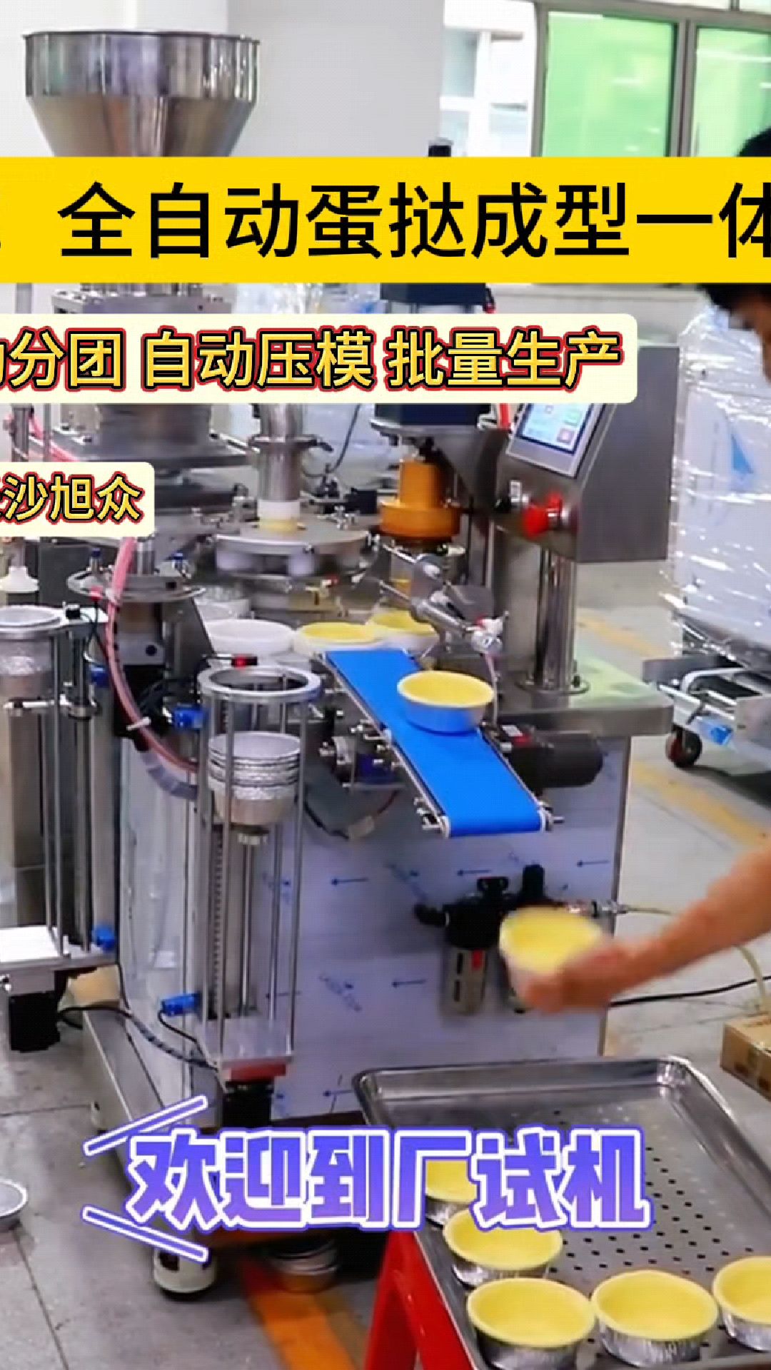 我超会!全靠这台全自动蛋挞成型一体机!制作蛋挞太轻松了,自动