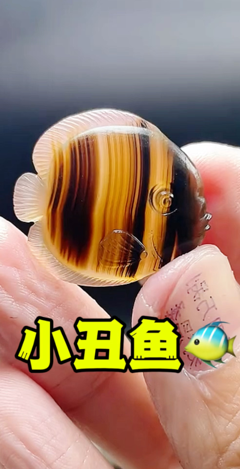 变废为宝,用一个边角料雕刻一条可爱的小丑鱼吊坠