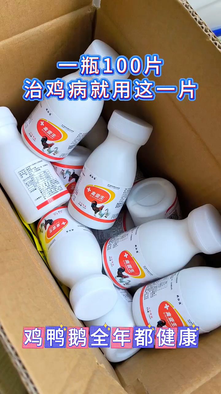 治疗鸡病很关键的