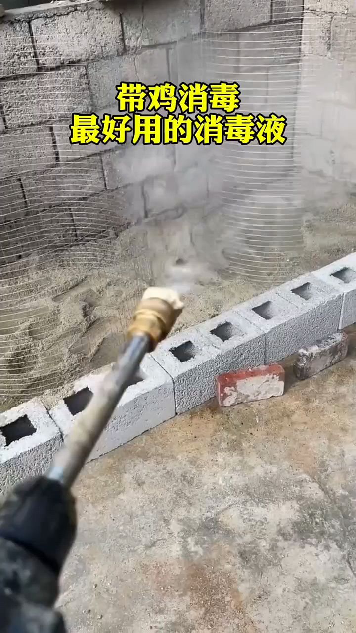 养鸡消毒用这个最好