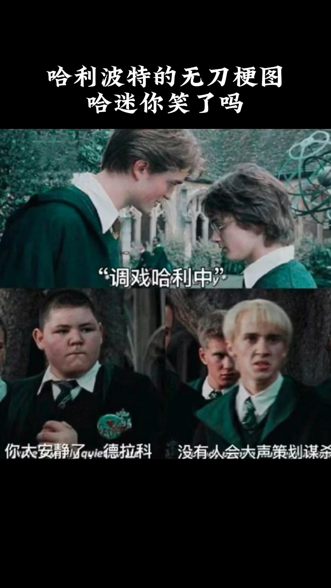 哈利波特的无刀梗图,哈迷你笑了吗