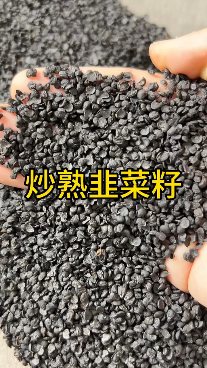 韭菜籽又名起阳子